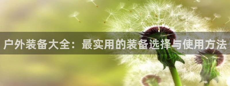 先锋娱乐中国