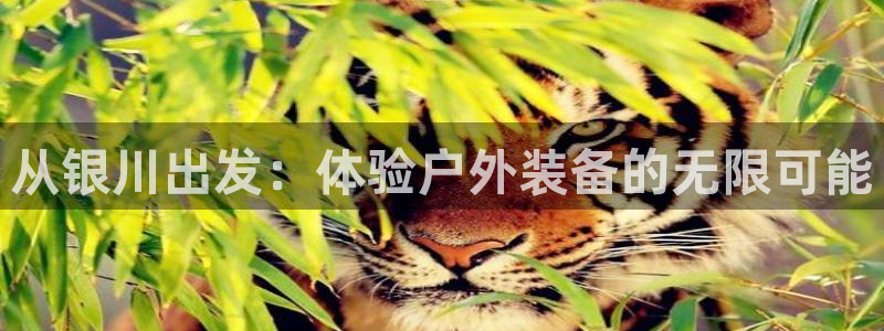 先锋娱乐传媒