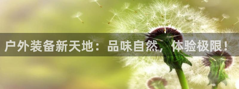 大连先锋娱乐