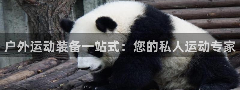 先锋娱乐入口