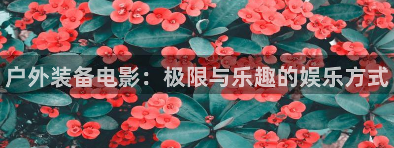 贵州先锋娱乐