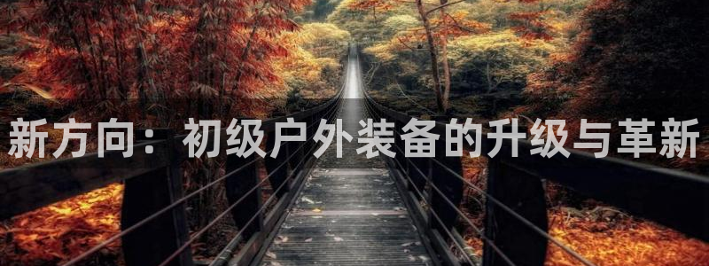 先锋娱乐股票