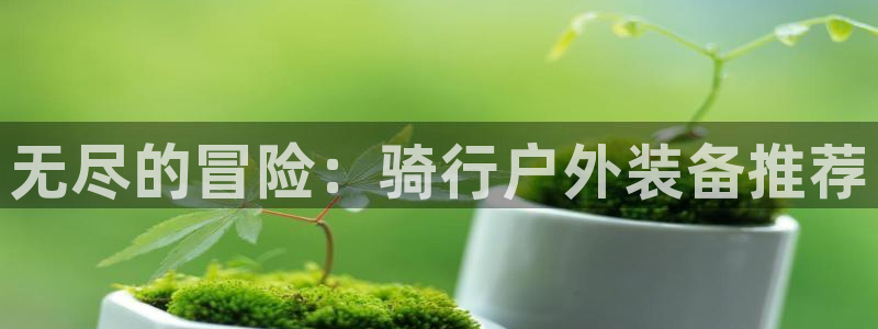 先锋电子旗下先锋娱乐