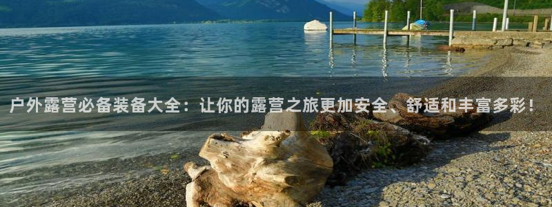 先锋电子旗下先锋娱乐