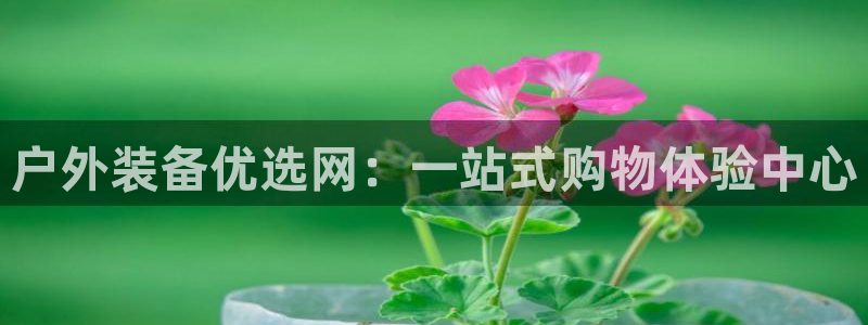 先锋娱乐游戏上分地址