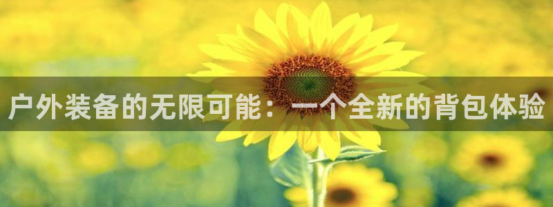 先锋娱乐股票