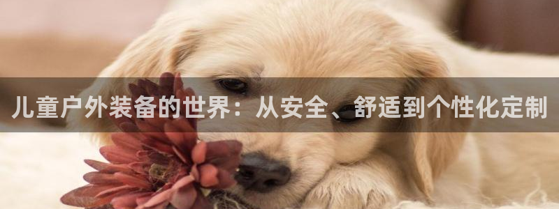 先锋方舟娱乐集团