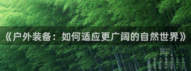 先锋国际娱乐