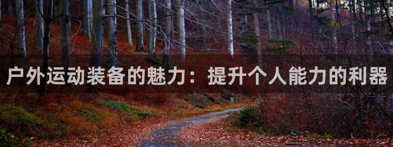 先锋娱乐游戏软件