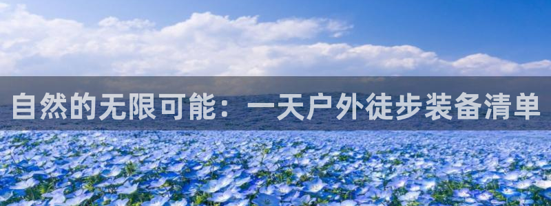 先锋娱乐官