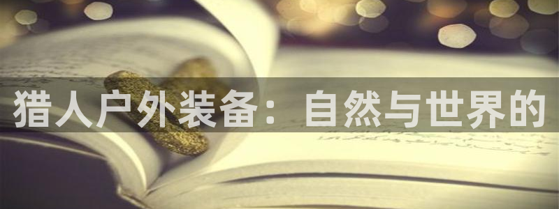 先锋互动娱乐