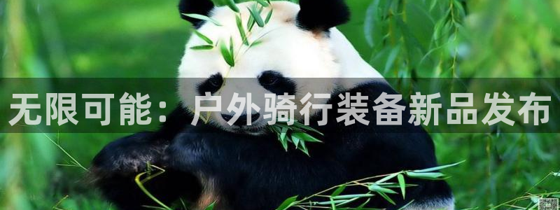 先锋娱乐游戏上分网址