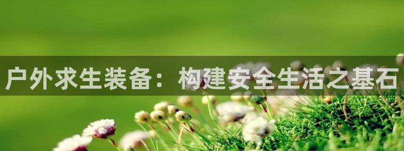 娱乐急先锋全集下载