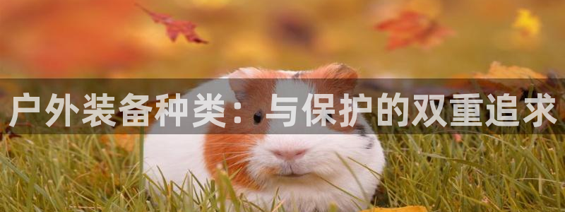 先锋银河娱乐