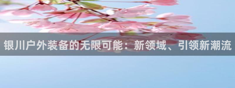 先锋岛娱乐