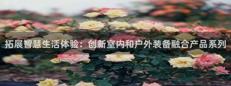 怎么下载先锋娱乐大厅