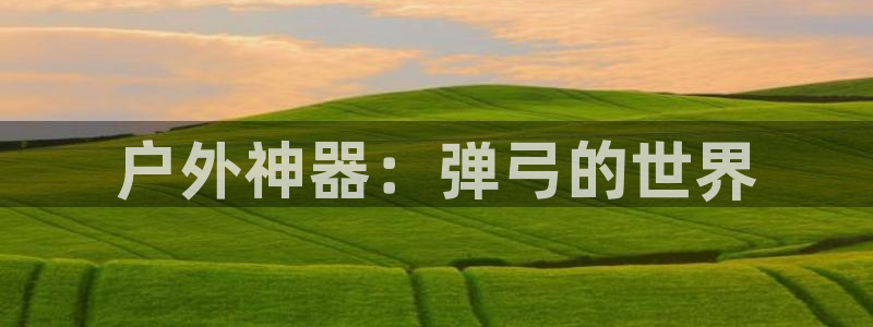 先锋娱乐集团