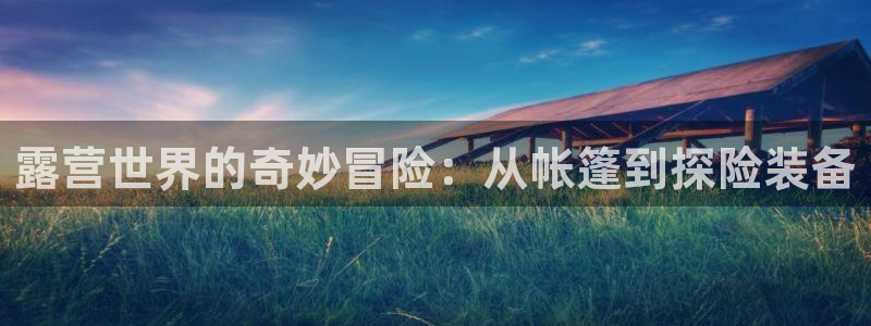 先锋综合娱乐