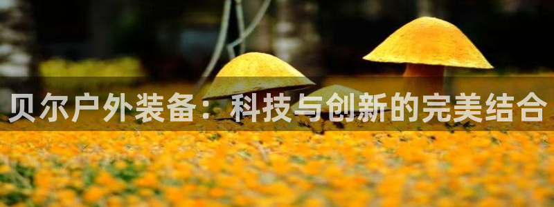 先锋娱乐会所地址