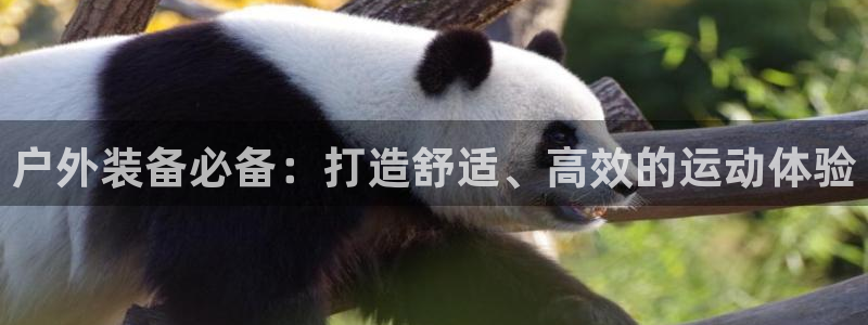 先锋娱乐管理集团