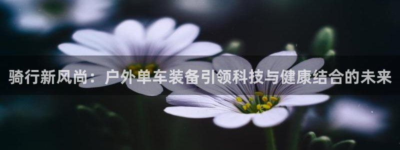 吉林先锋娱乐