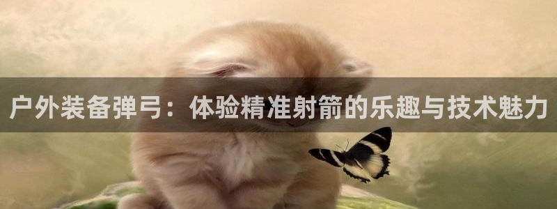 先锋娱乐游戏软件