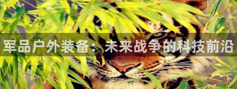 先锋娱乐集团公司