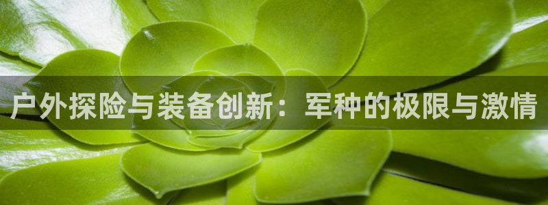 先锋岛娱乐