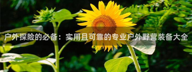 先锋娱乐手机