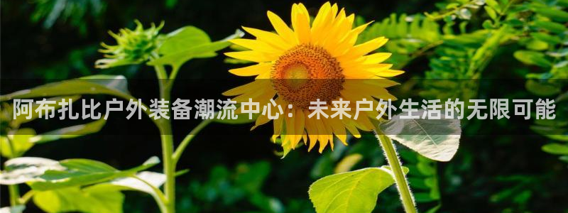 先锋娱乐游戏软件
