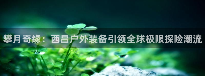 先锋娱乐科技