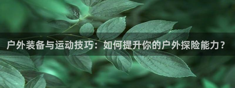 先锋娱乐情报