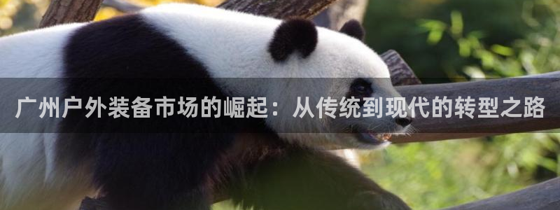 先锋娱乐科技