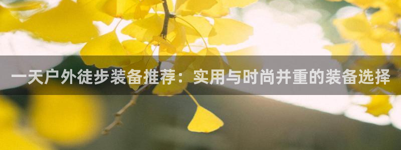 先锋娱乐手机