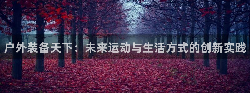 先锋娱乐集团公司