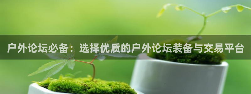 先锋娱乐情报