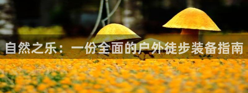 先锋娱乐在哪下载