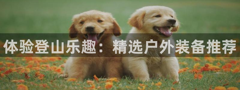 亚洲先锋娱乐跌