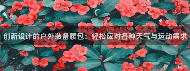 先锋方舟娱乐集团